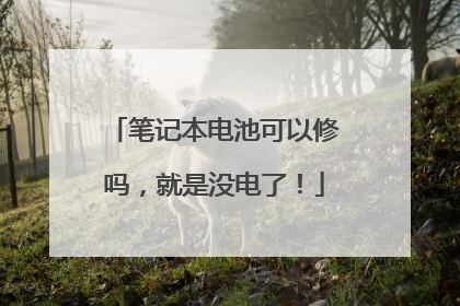 笔记本电池可以修吗，就是没电了！