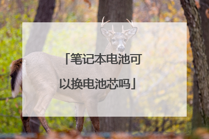 笔记本电池可以换电池芯吗