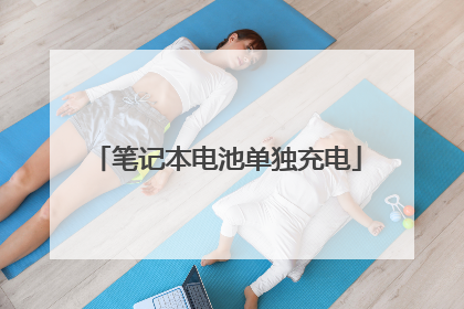 笔记本电池单独充电