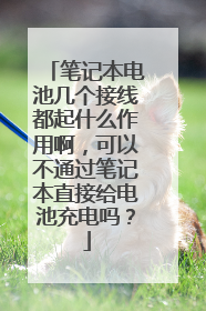 笔记本电池几个接线都起什么作用啊,可以不通过笔记本直接给电池充电吗?