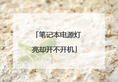 笔记本电源灯亮却开不开机