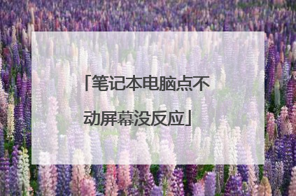 笔记本电脑点不动屏幕没反应