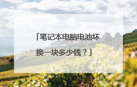 笔记本电脑电池坏换一块多少钱?