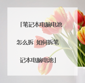 笔记本电脑电池怎么拆 如何拆笔记本电脑电池