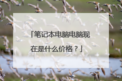 笔记本电脑电脑现在是什么价格？