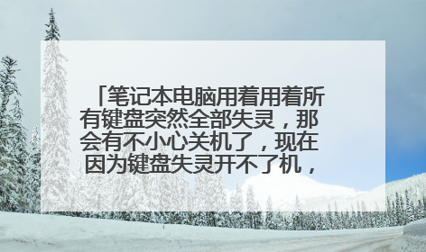 笔记本电脑用着用着所有键盘突然全部失灵，那会有不小心关机了，现在因为键盘失灵开不了机，该怎么解决？