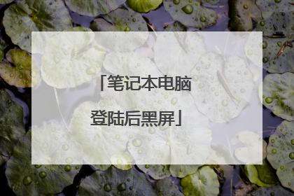 笔记本电脑登陆后黑屏