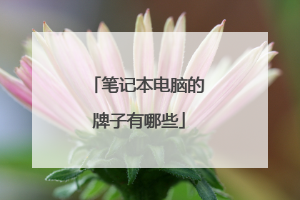 笔记本电脑的牌子有哪些