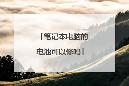 笔记本电脑的电池可以修吗