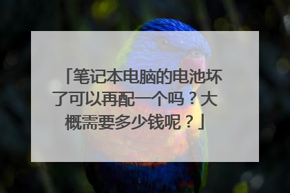 笔记本电脑的电池坏了可以再配一个吗？大概需要多少钱呢？