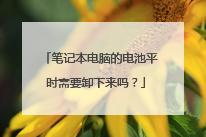 笔记本电脑的电池平时需要卸下来吗?