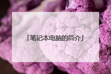 笔记本电脑的简介