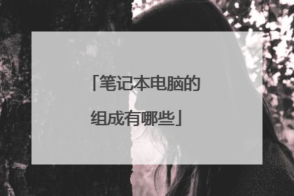 笔记本电脑的组成有哪些