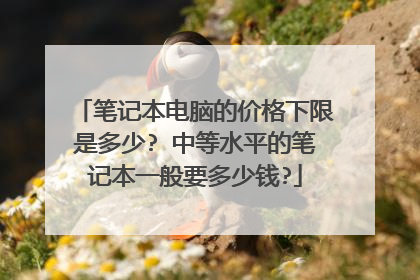 笔记本电脑的价格下限是多少? 中等水平的笔记本一般要多少钱?