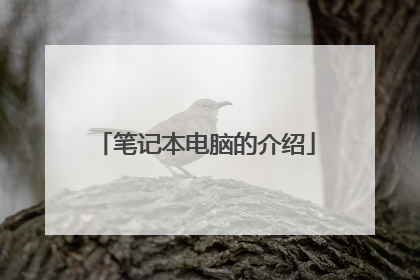 笔记本电脑的介绍