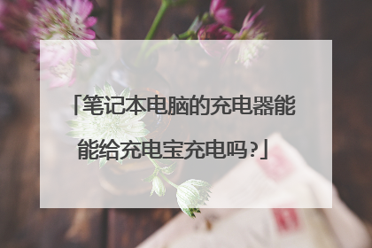 笔记本电脑的充电器能能给充电宝充电吗?