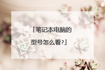 笔记本电脑的型号怎么看?