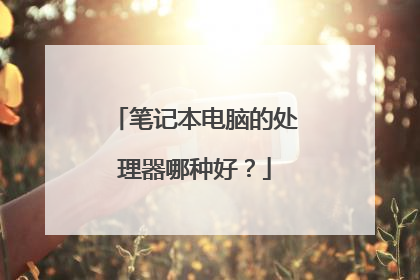 笔记本电脑的处理器哪种好?