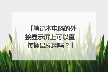 笔记本电脑的外接显示屏上可以直接插鼠标用吗？