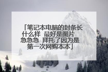 笔记本电脑的封条长什么样 最好是图片 急急急 拜托了因为是第一次网购本本