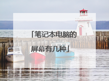 笔记本电脑的屏幕有几种