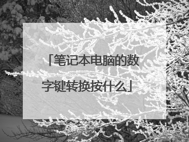笔记本电脑的数字键转换按什么
