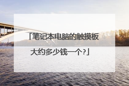笔记本电脑的触摸板大约多少钱一个?