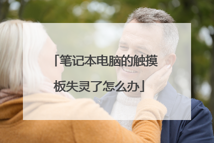 笔记本电脑的触摸板失灵了怎么办