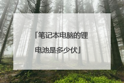 笔记本电脑的锂电池是多少伏