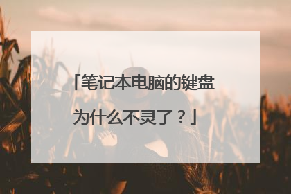 笔记本电脑的键盘为什么不灵了？