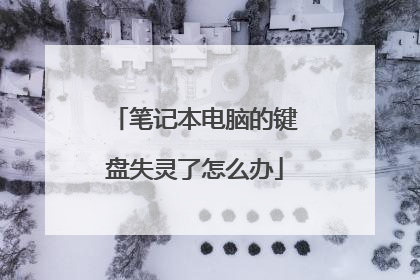 笔记本电脑的键盘失灵了怎么办