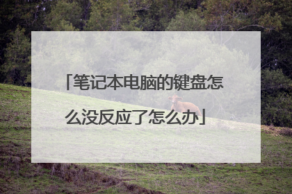 笔记本电脑的键盘怎么没反应了怎么办