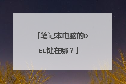 笔记本电脑的DEL键在哪？