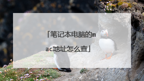 笔记本电脑的mac地址怎么查