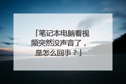 笔记本电脑看视频突然没声音了,是怎么回事?