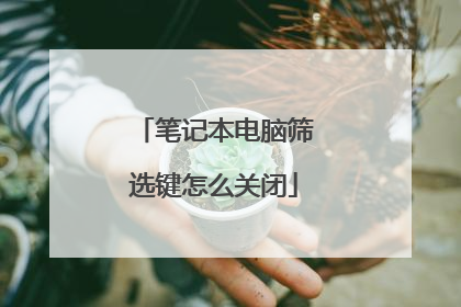 笔记本电脑筛选键怎么关闭
