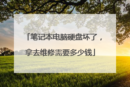 笔记本电脑硬盘坏了,拿去维修需要多少钱