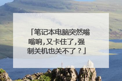 笔记本电脑突然嗡嗡响,又卡住了,强制关机也关不了?