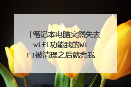笔记本电脑突然失去wifi功能我的WIFI被清理之后就秃我的WIFI被清理之后,就突然连不上W?