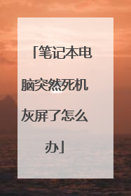 笔记本电脑突然死机灰屏了怎么办