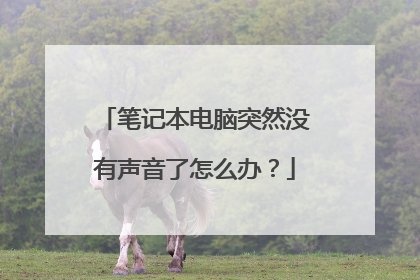 笔记本电脑突然没有声音了怎么办？