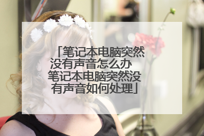 笔记本电脑突然没有声音怎么办 笔记本电脑突然没有声音如何处理
