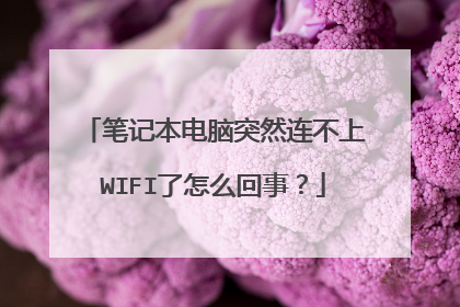笔记本电脑突然连不上WIFI了怎么回事？