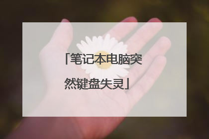 笔记本电脑突然键盘失灵