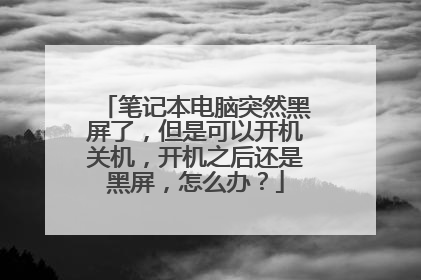 笔记本电脑突然黑屏了,但是可以开机关机,开机之后还是黑屏,怎么办?