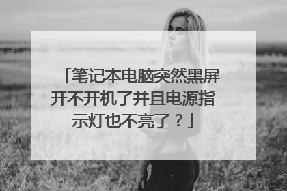 笔记本电脑突然黑屏开不开机了并且电源指示灯也不亮了?