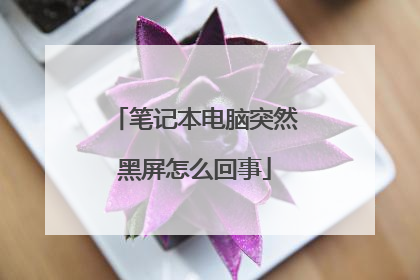 笔记本电脑突然黑屏怎么回事