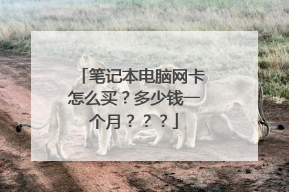 笔记本电脑网卡怎么买?多少钱一个月???