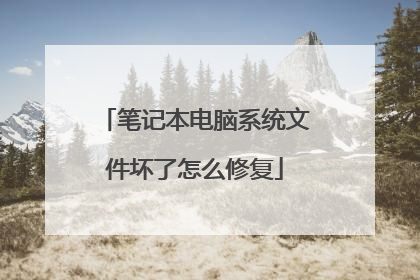 笔记本电脑系统文件坏了怎么修复