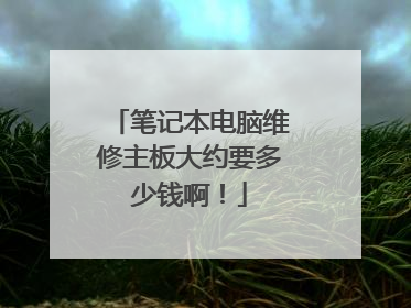 笔记本电脑维修主板大约要多少钱啊！